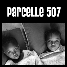Parcelle 507